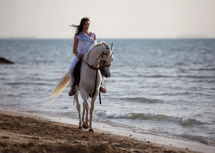 Mousa Coast & Resort